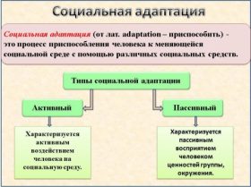 Адаптивность