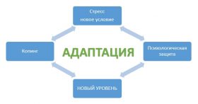 Адаптивность