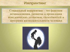 Импринтинг - в психологии Импринтинг - в психологии